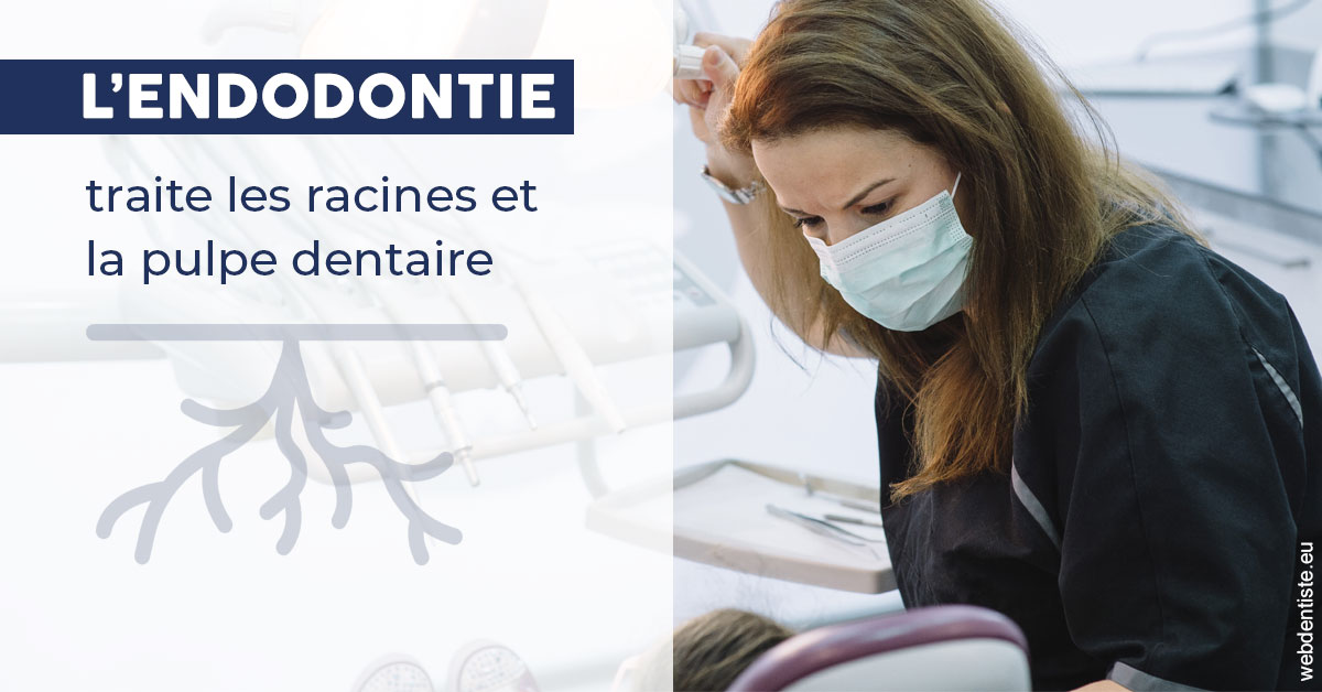 https://dr-dubois-jean-marc.chirurgiens-dentistes.fr/L'endodontie 1