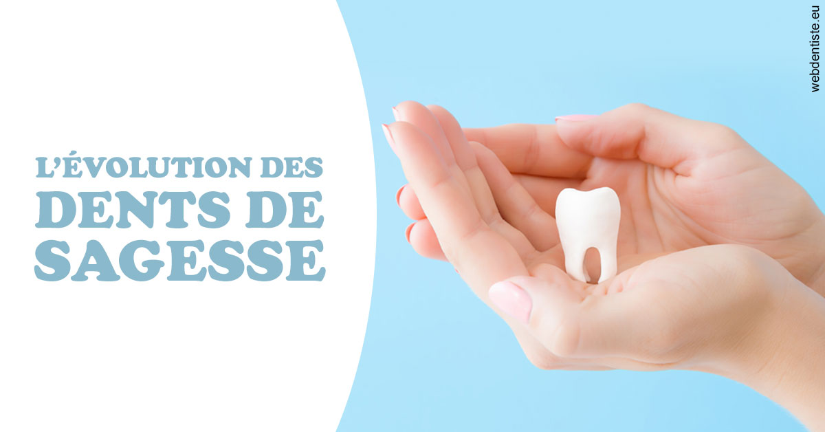 https://dr-dubois-jean-marc.chirurgiens-dentistes.fr/Evolution dents de sagesse 1