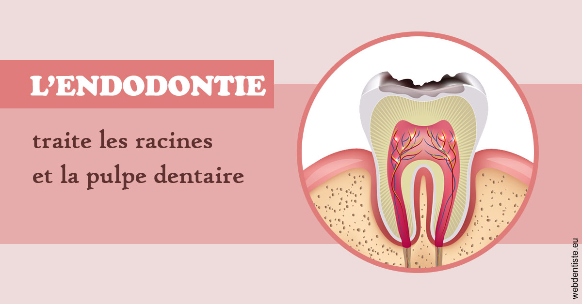 https://dr-dubois-jean-marc.chirurgiens-dentistes.fr/L'endodontie 2