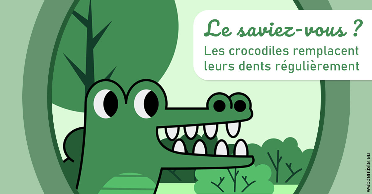 https://dr-dubois-jean-marc.chirurgiens-dentistes.fr/Crocodiles 2